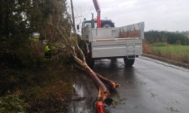 Il camion con il braccio meccanico al alvoro per rimuovere gli alberi caduti sulla Litoranea nord di Tarquinia